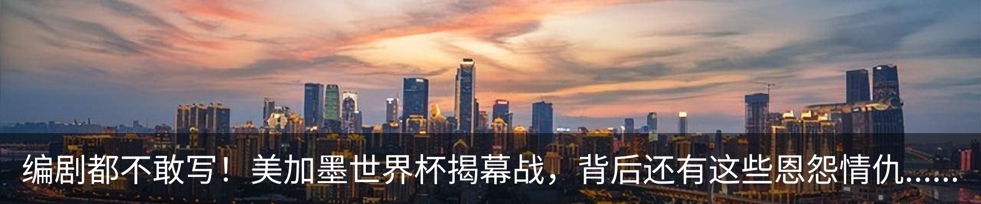 新闻动态